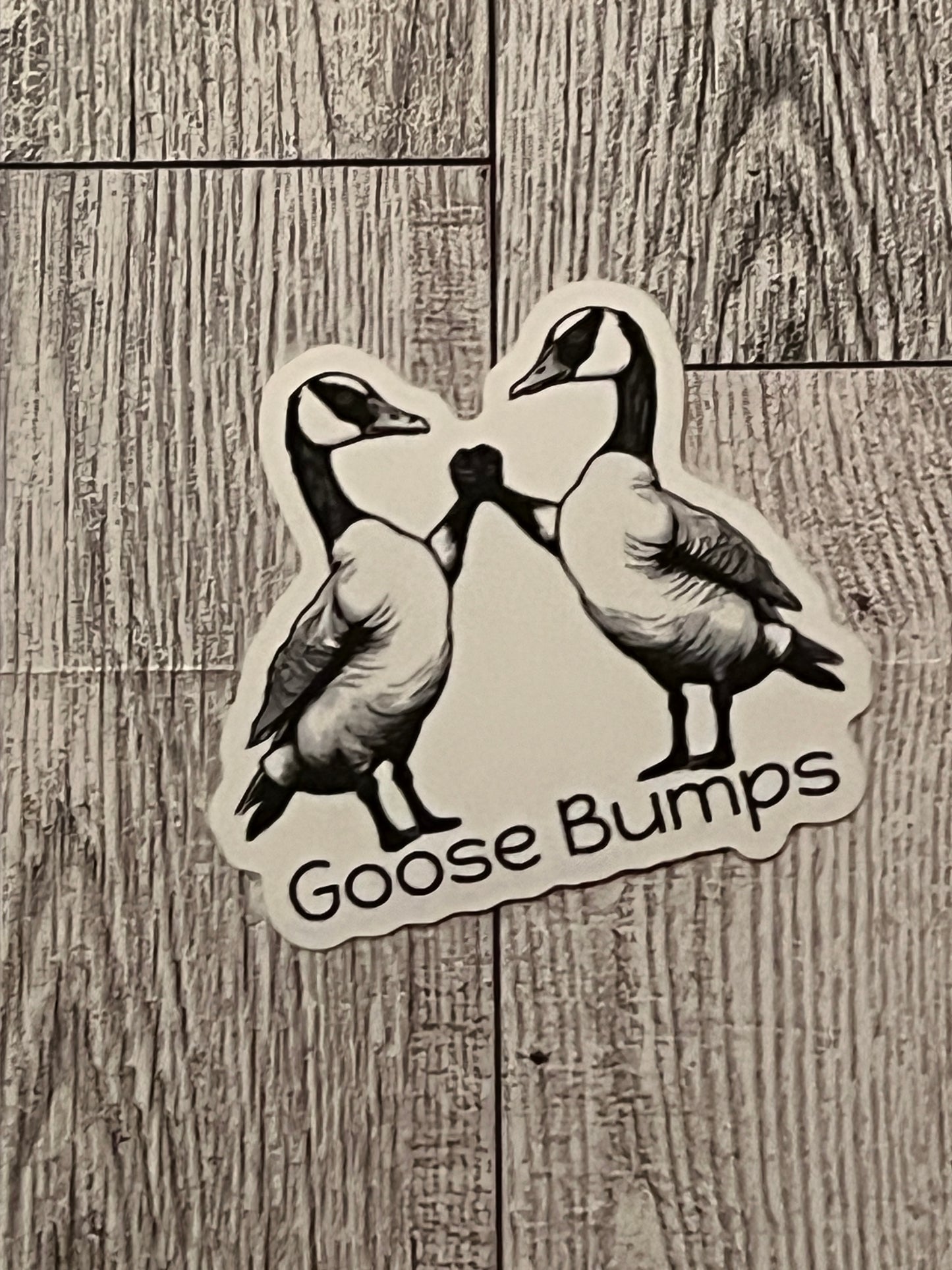 Goose Bumps