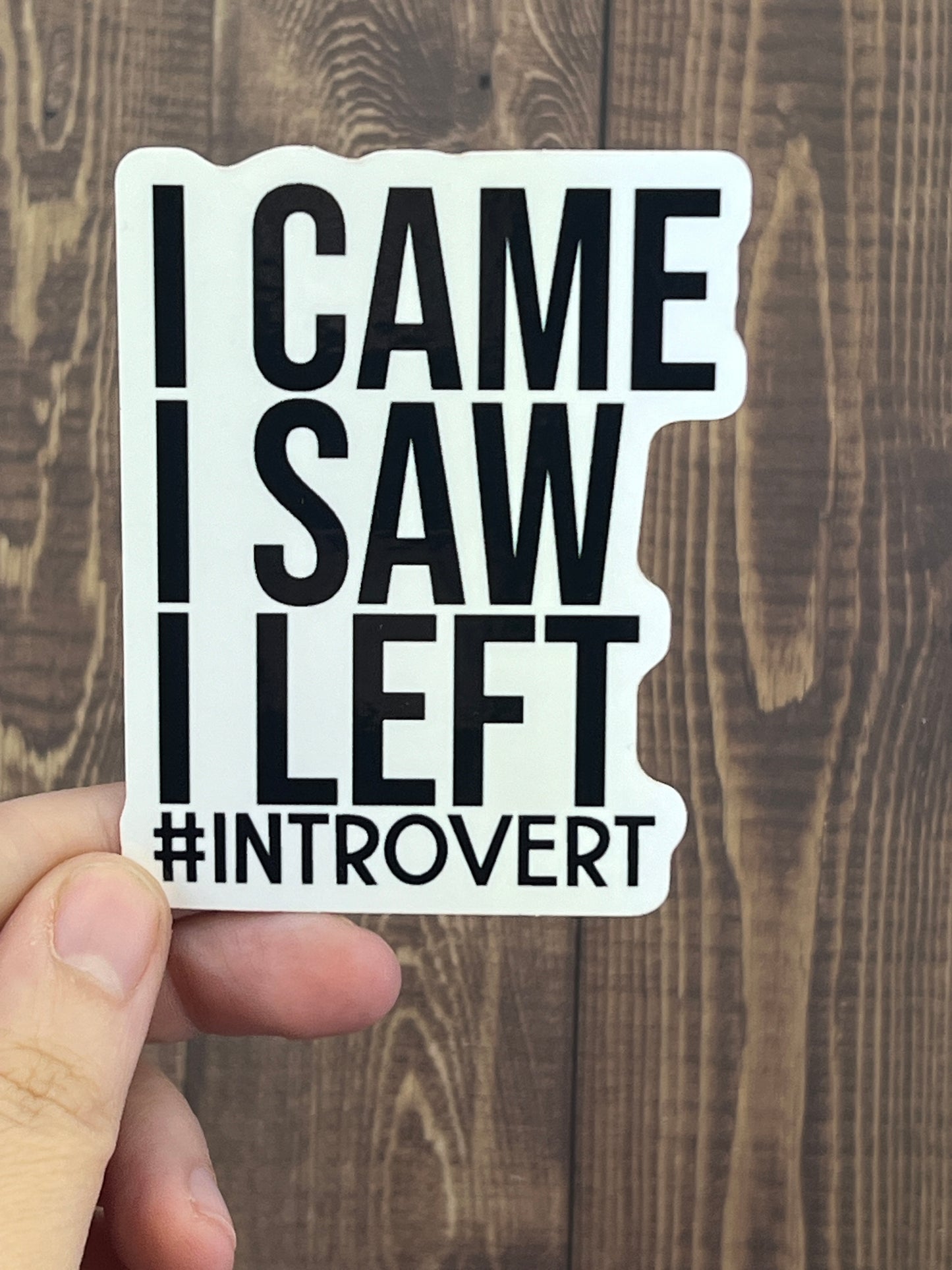 I Came I Saw I Left #Introvert