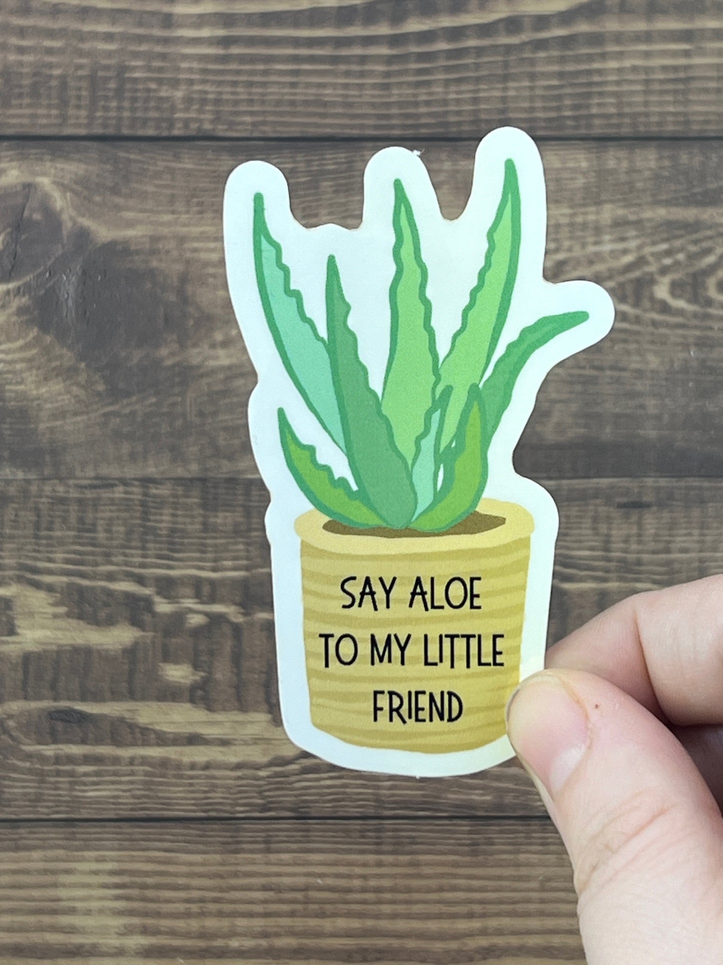 Say Aloe To My Little Friend